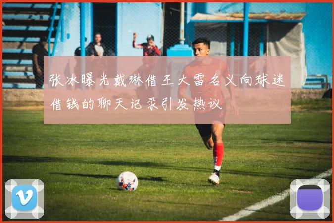 张冰曝光戴琳借王大雷名义向球迷借钱的聊天记录引发热议